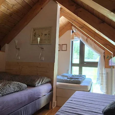 Zvon 302 Apartamento