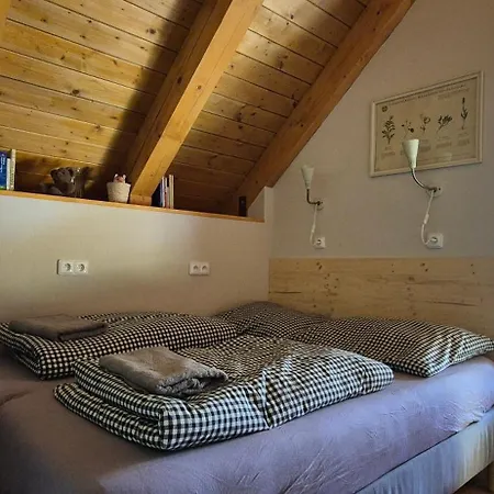 Zvon 302 Lägenhet Špindlerŭv Mlýn