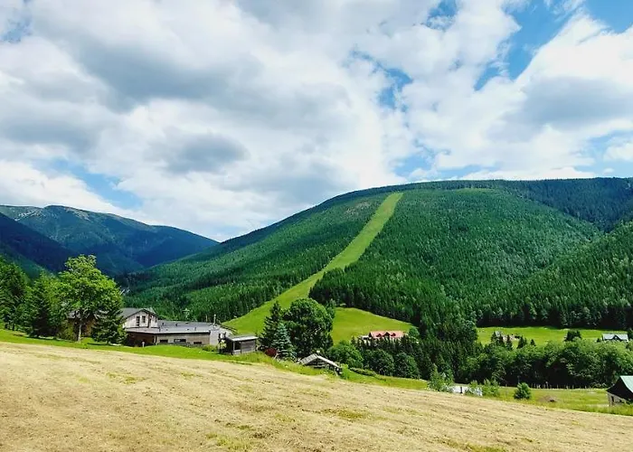 Zvon 302 Apartament *