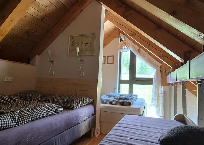 Zvon 302 Apartament
